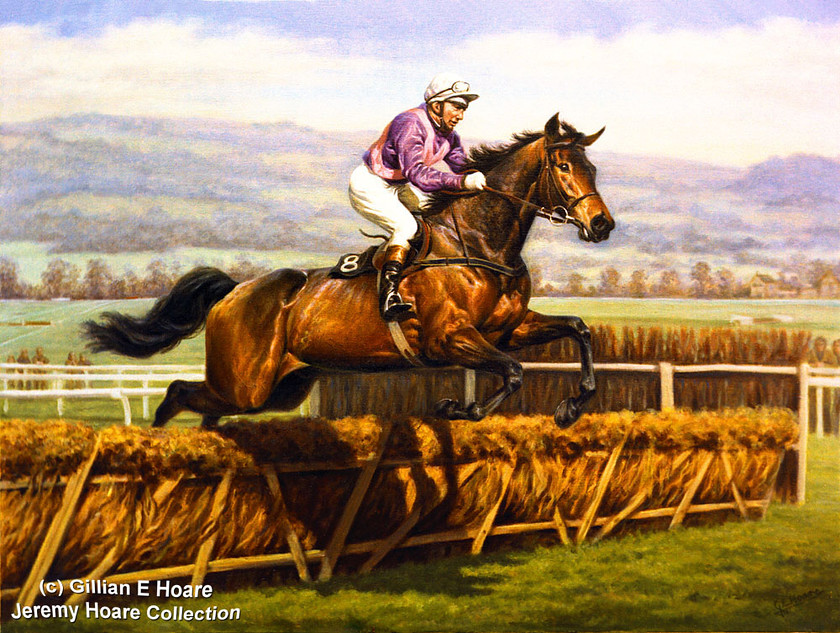 NIGHT NURSE 
 Night Nurse and Paddy Broderick at the last in the Champion Hurdle in 1976