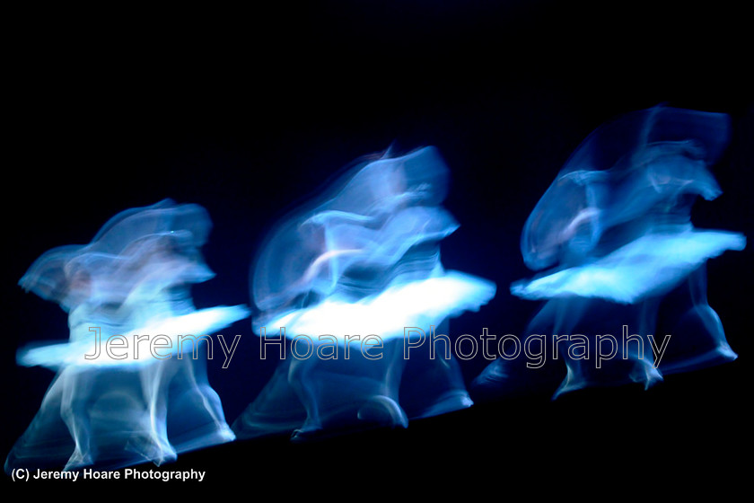 DSC0233-copy-FB-2021 
 Misuko Inao Ballet School production of 'La Bayadere' at Biwako Hall, Kyoto, Japan