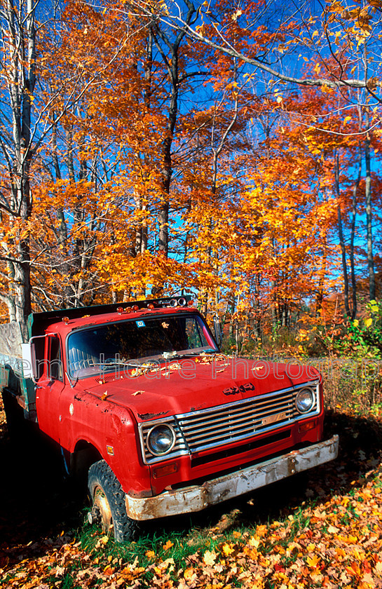 Travel-U6113-Red-truck-and-trees-copy