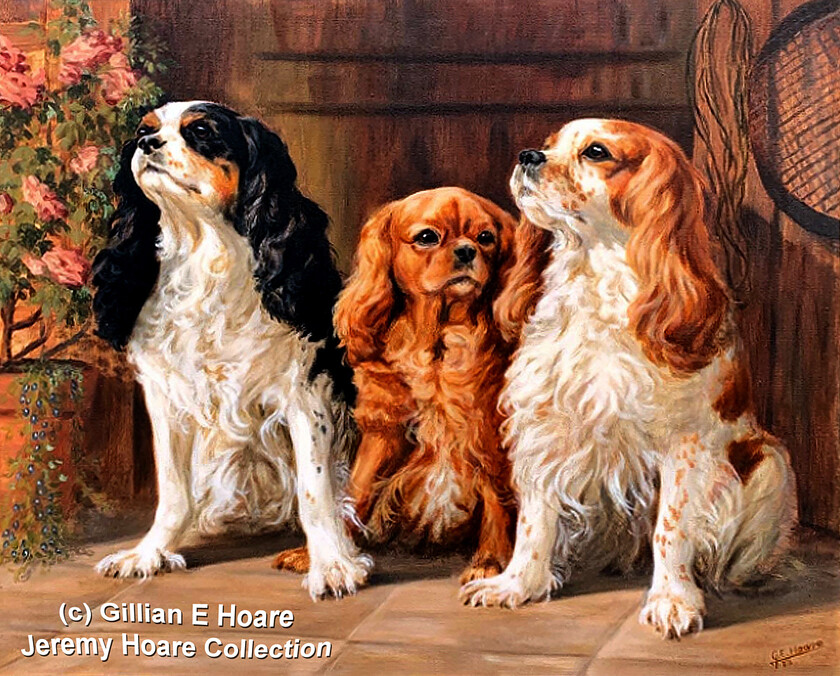 Spaniels-1973 WEB 
 King Charles Spaniels 
 Keywords: King Charles Spaniels Gillian E Hoare