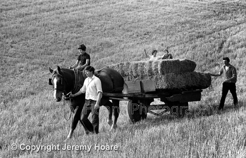 Suffolk-Punch-1977-FB 
 Roger Clark in Suffolk