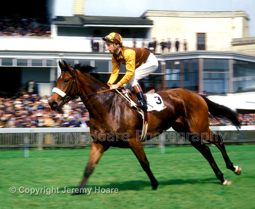 Newmarket-racing-0002 FB 
 Newmarket 1970s