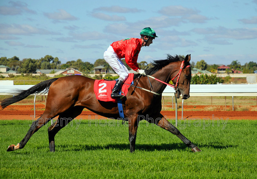 dsc9882-0002-ARTFINDER 
 Anzac Day races at the Kalgoorlie-Boulder Racecourse Kalgoorlie WA Australia 
 Keywords: KPG