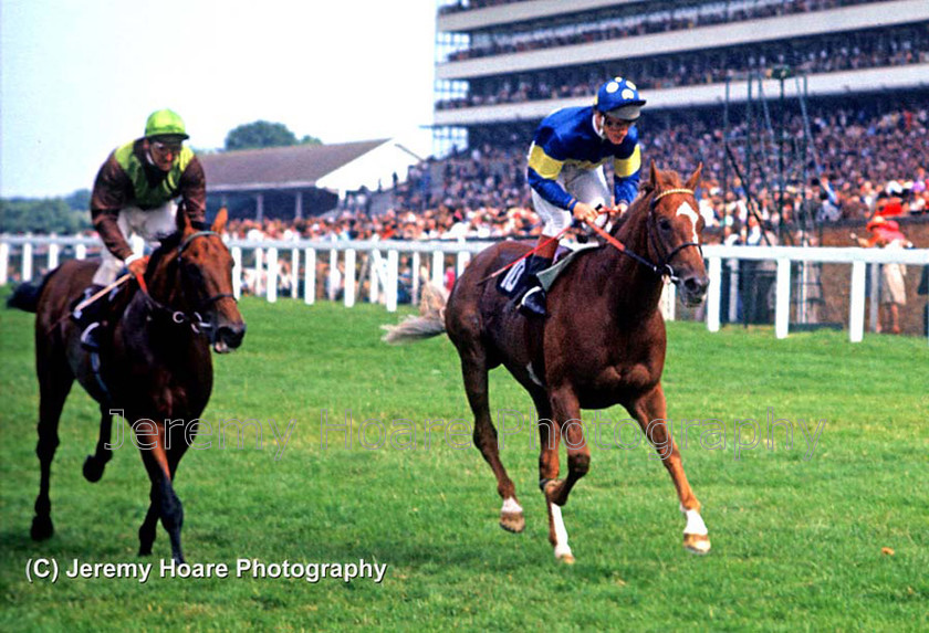 Grundy and Bustino 
 Grundy with Pat Eddery and Bustino with Joe Mercer at Ascot, The Race of a Century King George v1 & Queen Elizabeth Stakes 1975