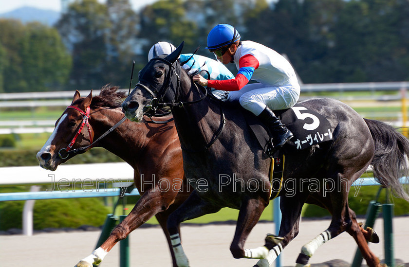 DSC8423-PROC 
 Racing at Kyoto Racecourse, Yodo, on the Keihan line - Y200 entry fee