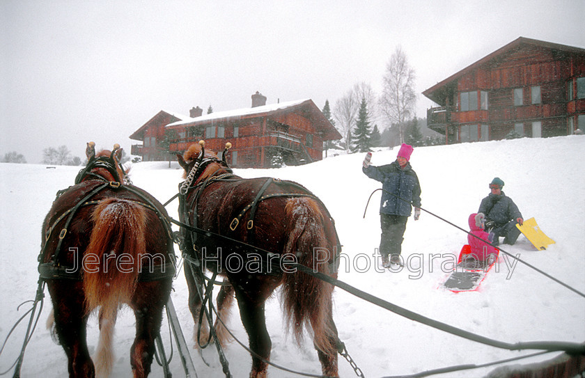 Travel-37778-Vermont-sleigh-ride-copy