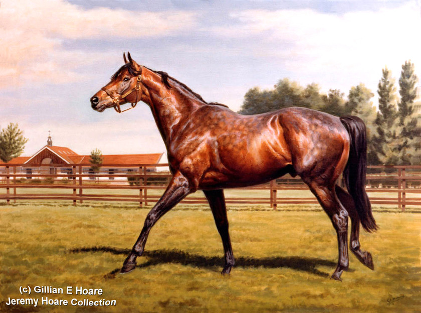 Mill Reef 
 Mill Reef at the National Stud 1976