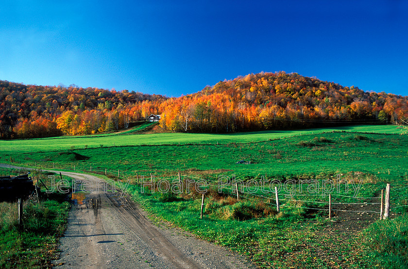 Travel-U6216-Farm-lane-&-field-copy