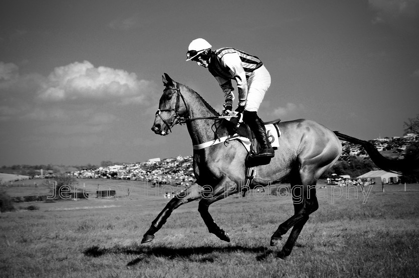 VIDEO- DSC2254-VIDEO-DXO-Red Vignette 
 Enfield Chace & Cambridgeshire Hunt's point-to-point meeting at Norhtaw, Hertfordshire