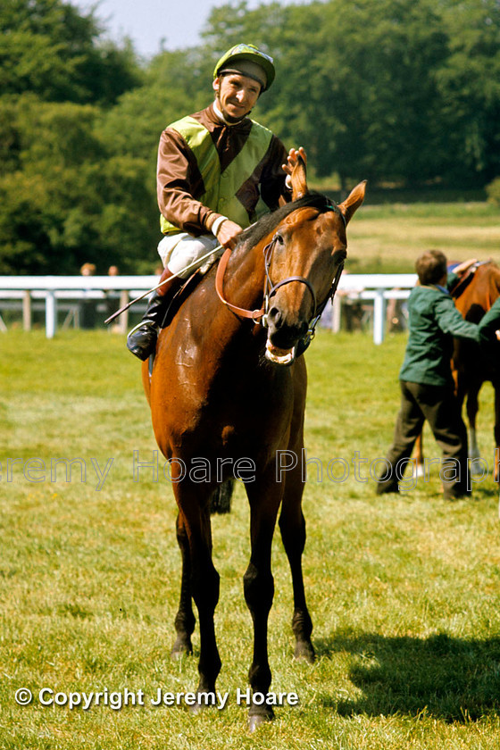 Lady Beaverbrooks Bustino and Joe Mercer 
 Lady Beaverbrook's Bustino and Joe Mercer prior to the start of the King George VI at Ascot on Diamond Day 26 July 1975 when he was beaten by Grundy in 'The Race of the Century'.